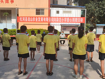 紅河縣遠(yuǎn)山農(nóng)業(yè)發(fā)展有限公司向勐龍小學(xué)捐贈(zèng)山棕床墊100床，價(jià)值12.8萬(wàn)元人民幣